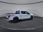 2021 F-150 Thumbnail 8
