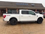 2021 F-150 Thumbnail 6