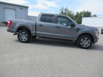 2021 F-150 Thumbnail 4