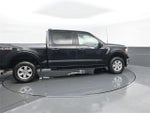 2021 F-150 Thumbnail 4