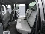 2021 F-150 Thumbnail 10