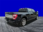 2021 F-150 Thumbnail 4