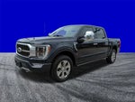 2021 F-150 Thumbnail 8