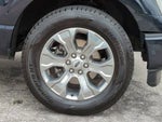 2021 F-150 Thumbnail 11