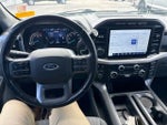 2021 F-150 Thumbnail 11