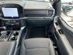 2022 F-150 Thumbnail 13