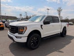 2022 F-150 Thumbnail 6