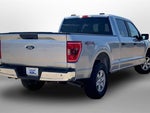 2022 F-150 Thumbnail 12