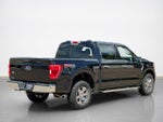 2022 F-150 Thumbnail 10