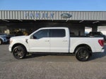 2022 F-150 Thumbnail 2