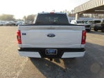 2022 F-150 Thumbnail 4