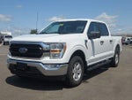 2022 F-150 Thumbnail 2