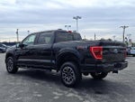 2023 F-150 Thumbnail 4