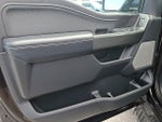 2023 F-150 Thumbnail 13