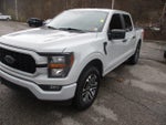 2023 F-150 Thumbnail 7