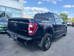 2023 F-150 Thumbnail 7