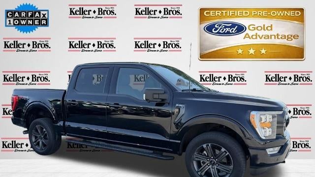 Preowned 2023 Ford F-150 XL for Sale