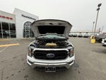 2023 F-150 Thumbnail 23