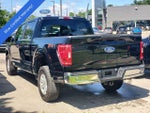 2023 F-150 Thumbnail 3