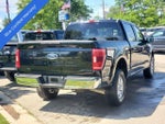 2023 F-150 Thumbnail 4