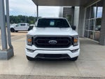 2023 F-150 Thumbnail 8