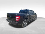 2023 F-150 Thumbnail 6