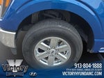 2023 F-150 Thumbnail 4
