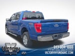 2023 F-150 Thumbnail 14