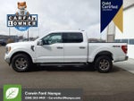 2023 F-150 Thumbnail 8