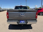 2023 F-150 Thumbnail 6