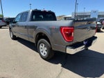 2023 F-150 Thumbnail 7