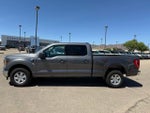 2023 F-150 Thumbnail 8