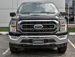 2023 F-150 Thumbnail 4