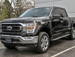 2023 F-150 Thumbnail 5