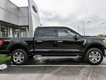 2023 F-150 Thumbnail 11