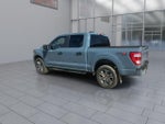 2023 F-150 Thumbnail 6