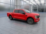 2023 F-150 Thumbnail 2