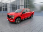 2023 F-150 Thumbnail 4