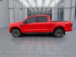 2023 F-150 Thumbnail 5