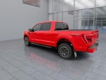 2023 F-150 Thumbnail 6