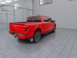 2023 F-150 Thumbnail 8