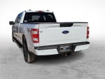 2023 F-150 Thumbnail 8