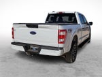 2023 F-150 Thumbnail 10