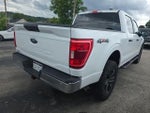 2023 F-150 Thumbnail 4