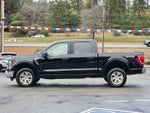 2023 F-150 Thumbnail 7