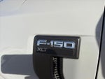 2023 F-150 Thumbnail 3