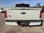 2023 F-150 Thumbnail 7