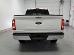 2023 F-150 Thumbnail 4
