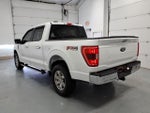 2023 F-150 Thumbnail 5