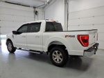 2023 F-150 Thumbnail 6